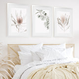 Shop Banksia III Photo Art Print-Botanicals, Florals, Hamptons, Nature, Neutrals, Photography, Pink, Portrait, View All-framed poster wall decor artwork