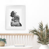 Shop Black Cockatoo Close-Up Art Print-Animals, Baby Nursery, Birds, Black, Grey, Portrait, Scandinavian, Tropical, View All, White-framed painted poster wall decor artwork