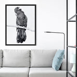 Shop Black Cockatoo Canvas Art Print-Animals, Baby Nursery, Birds, Black, Portrait, Tropical, View All, White-framed wall decor artwork