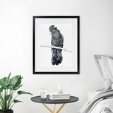 Shop Black Cockatoo Art Print-Animals, Baby Nursery, Birds, Black, Portrait, Tropical, View All, White-framed painted poster wall decor artwork