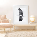 Shop Black Cockatoo Art Print-Animals, Baby Nursery, Birds, Black, Portrait, Tropical, View All, White-framed painted poster wall decor artwork
