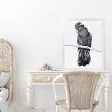 Shop Black Cockatoo Art Print-Animals, Baby Nursery, Birds, Black, Portrait, Tropical, View All, White-framed painted poster wall decor artwork