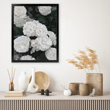 Shop White English Roses Art Print-Florals, Green, Hamptons, Portrait, View All, White-framed painted poster wall decor artwork