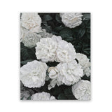Shop White English Roses Art Print-Florals, Green, Hamptons, Portrait, View All, White-framed painted poster wall decor artwork