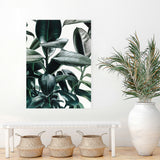Shop Rubber Plant Canvas Art Print-Botanicals, Green, Hamptons, Portrait, Tropical, View All-framed wall decor artwork