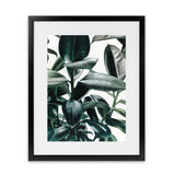 Shop Rubber Plant Art Print-Botanicals, Green, Hamptons, Portrait, Tropical, View All-framed painted poster wall decor artwork