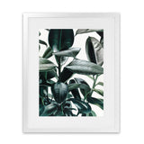 Shop Rubber Plant Art Print-Botanicals, Green, Hamptons, Portrait, Tropical, View All-framed painted poster wall decor artwork
