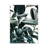 Shop Rubber Plant Canvas Art Print-Botanicals, Green, Hamptons, Portrait, Tropical, View All-framed wall decor artwork