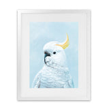Shop White Cockatoo in Blue Art Print-Animals, Baby Nursery, Birds, Blue, Portrait, View All-framed painted poster wall decor artwork