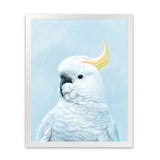 Shop White Cockatoo in Blue Art Print-Animals, Baby Nursery, Birds, Blue, Portrait, View All-framed painted poster wall decor artwork