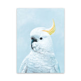Shop White Cockatoo in Blue Canvas Art Print-Animals, Baby Nursery, Birds, Blue, Portrait, View All-framed wall decor artwork