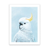 Shop White Cockatoo in Blue Art Print-Animals, Baby Nursery, Birds, Blue, Portrait, View All-framed painted poster wall decor artwork