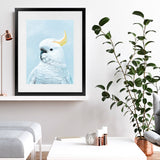 Shop White Cockatoo in Blue Art Print-Animals, Baby Nursery, Birds, Blue, Portrait, View All-framed painted poster wall decor artwork