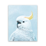 Shop White Cockatoo in Blue Art Print-Animals, Baby Nursery, Birds, Blue, Portrait, View All-framed painted poster wall decor artwork