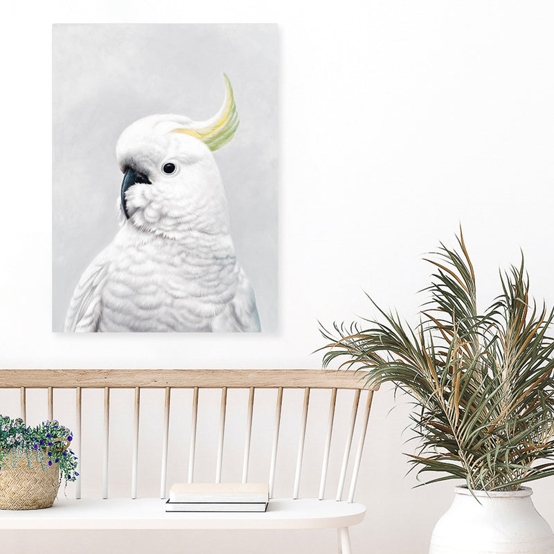 Shop White Cockatoo Canvas Art Print-Animals, Baby Nursery, Birds, Portrait, View All, White-framed wall decor artwork