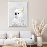 Shop White Cockatoo Canvas Art Print-Animals, Baby Nursery, Birds, Portrait, View All, White-framed wall decor artwork