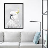 Shop White Cockatoo Canvas Art Print-Animals, Baby Nursery, Birds, Portrait, View All, White-framed wall decor artwork