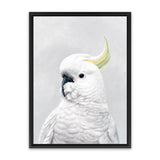 Shop White Cockatoo Canvas Art Print-Animals, Baby Nursery, Birds, Portrait, View All, White-framed wall decor artwork