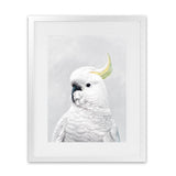 Shop White Cockatoo Art Print-Animals, Baby Nursery, Birds, Portrait, View All, White-framed painted poster wall decor artwork
