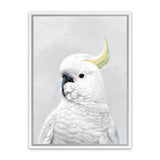 Shop White Cockatoo Canvas Art Print-Animals, Baby Nursery, Birds, Portrait, View All, White-framed wall decor artwork