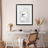 Shop White Cockatoo Art Print-Animals, Baby Nursery, Birds, Portrait, View All, White-framed painted poster wall decor artwork