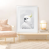 Shop White Cockatoo Art Print-Animals, Baby Nursery, Birds, Portrait, View All, White-framed painted poster wall decor artwork