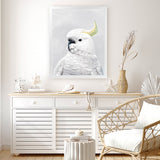 Shop White Cockatoo Art Print-Animals, Baby Nursery, Birds, Portrait, View All, White-framed painted poster wall decor artwork