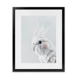 Shop Cockatiel Art Print-Animals, Baby Nursery, Birds, Grey, Portrait, View All, White-framed painted poster wall decor artwork
