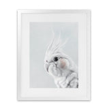 Shop Cockatiel Art Print-Animals, Baby Nursery, Birds, Grey, Portrait, View All, White-framed painted poster wall decor artwork