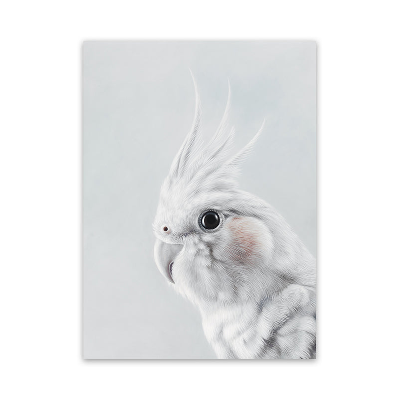 Shop Cockatiel Canvas Art Print-Animals, Baby Nursery, Birds, Grey, Portrait, View All, White-framed wall decor artwork