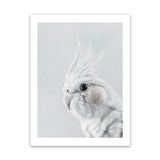 Shop Cockatiel Art Print-Animals, Baby Nursery, Birds, Grey, Portrait, View All, White-framed painted poster wall decor artwork