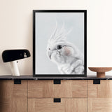 Shop Cockatiel Art Print-Animals, Baby Nursery, Birds, Grey, Portrait, View All, White-framed painted poster wall decor artwork