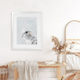 Shop Cockatiel Art Print-Animals, Baby Nursery, Birds, Grey, Portrait, View All, White-framed painted poster wall decor artwork