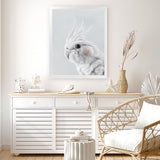 Shop Cockatiel Art Print-Animals, Baby Nursery, Birds, Grey, Portrait, View All, White-framed painted poster wall decor artwork