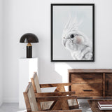 Shop Cockatiel Canvas Art Print-Animals, Baby Nursery, Birds, Grey, Portrait, View All, White-framed wall decor artwork