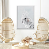 Shop Cockatiel Canvas Art Print-Animals, Baby Nursery, Birds, Grey, Portrait, View All, White-framed wall decor artwork