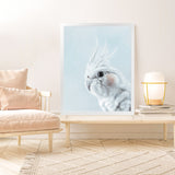 Shop Cockatiel in Blue Art Print-Animals, Baby Nursery, Birds, Blue, Portrait, View All, White-framed painted poster wall decor artwork