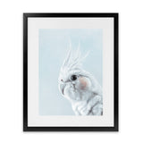 Shop Cockatiel in Blue Art Print-Animals, Baby Nursery, Birds, Blue, Portrait, View All, White-framed painted poster wall decor artwork