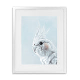 Shop Cockatiel in Blue Art Print-Animals, Baby Nursery, Birds, Blue, Portrait, View All, White-framed painted poster wall decor artwork