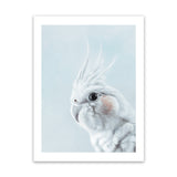 Shop Cockatiel in Blue Art Print-Animals, Baby Nursery, Birds, Blue, Portrait, View All, White-framed painted poster wall decor artwork