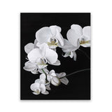 Shop Orchid Art Print-Black, Florals, Hamptons, Portrait, Scandinavian, View All, White-framed painted poster wall decor artwork