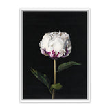 Shop Peony Canvas Art Print-Black, Florals, Hamptons, Portrait, View All-framed wall decor artwork