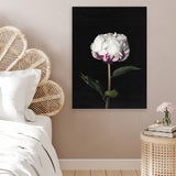 Shop Peony Canvas Art Print-Black, Florals, Hamptons, Portrait, View All-framed wall decor artwork