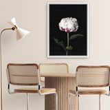Shop Peony Canvas Art Print-Black, Florals, Hamptons, Portrait, View All-framed wall decor artwork