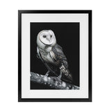 Shop Owl Art Print-Animals, Birds, Black, Portrait, Scandinavian, View All-framed painted poster wall decor artwork
