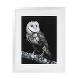 Shop Owl Art Print-Animals, Birds, Black, Portrait, Scandinavian, View All-framed painted poster wall decor artwork