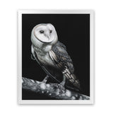 Shop Owl Art Print-Animals, Birds, Black, Portrait, Scandinavian, View All-framed painted poster wall decor artwork