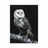 Shop Owl Canvas Art Print-Animals, Birds, Black, Portrait, Scandinavian, View All-framed wall decor artwork