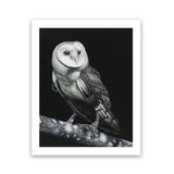 Shop Owl Art Print-Animals, Birds, Black, Portrait, Scandinavian, View All-framed painted poster wall decor artwork