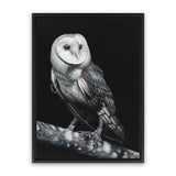 Shop Owl Canvas Art Print-Animals, Birds, Black, Portrait, Scandinavian, View All-framed wall decor artwork